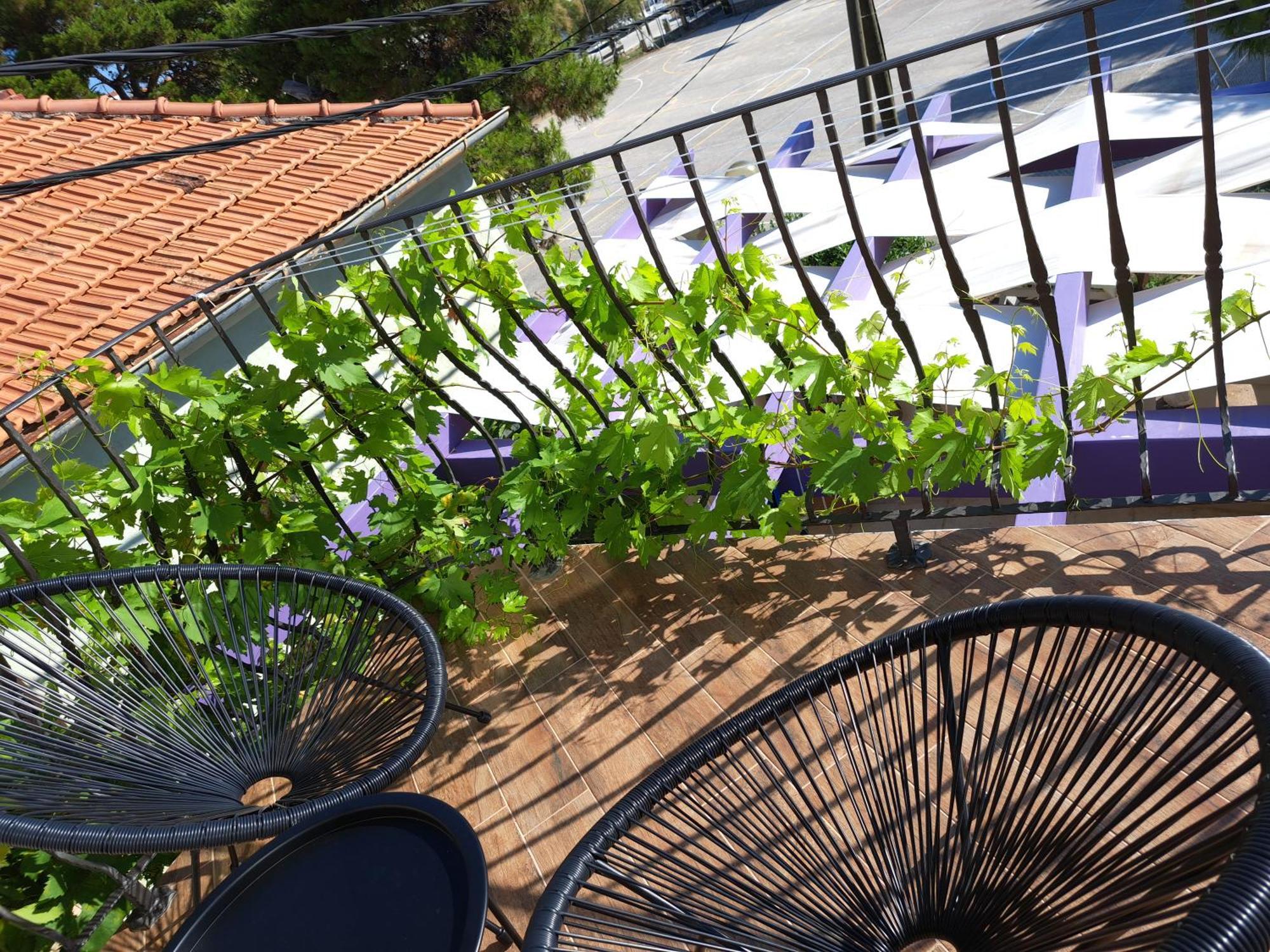 Jardin Kapetanova Kuca Διαμέρισμα Veli Iž Εξωτερικό φωτογραφία