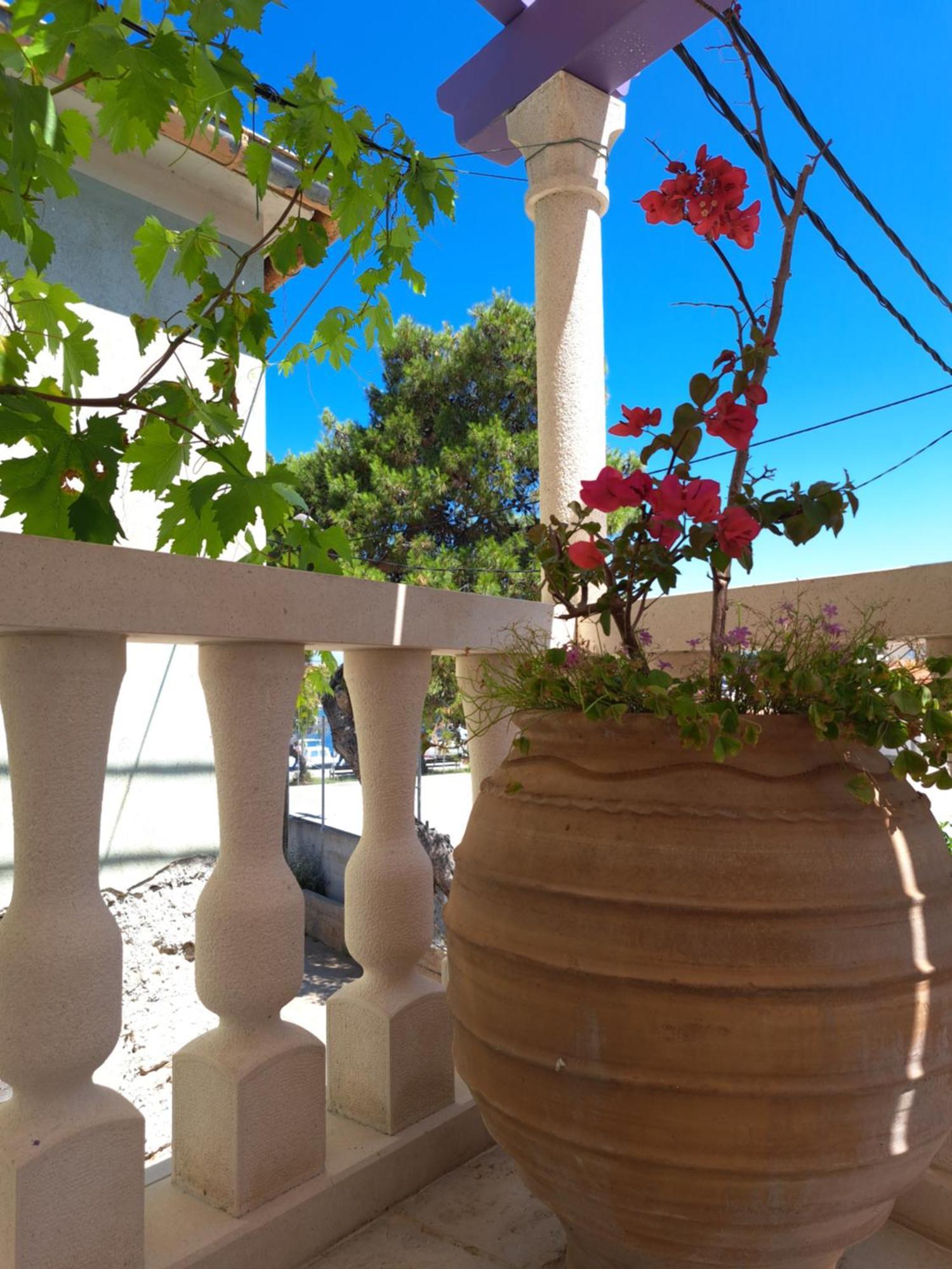 Jardin Kapetanova Kuca Διαμέρισμα Veli Iž Εξωτερικό φωτογραφία