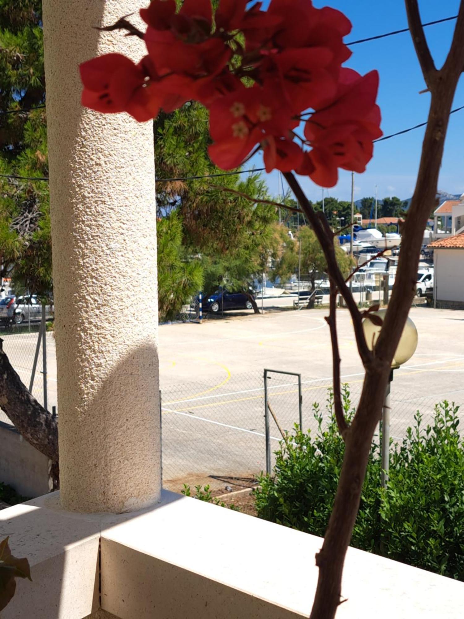 Jardin Kapetanova Kuca Διαμέρισμα Veli Iž Εξωτερικό φωτογραφία